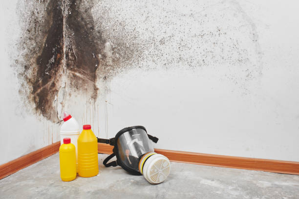 Best Mold Testing  in Pleasant Garden, NC